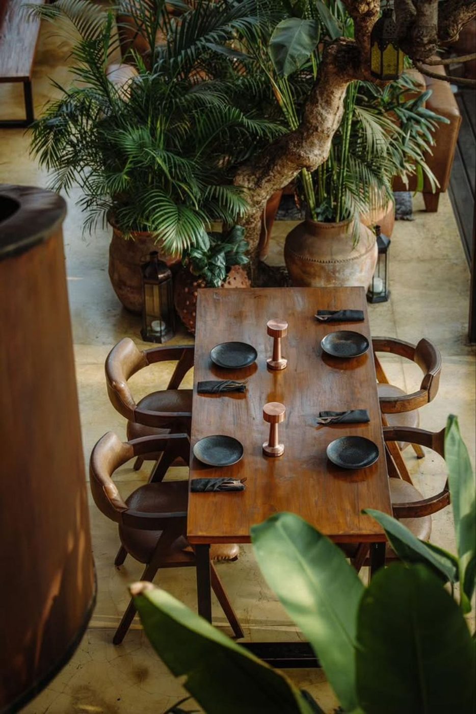 Comedor orgánico